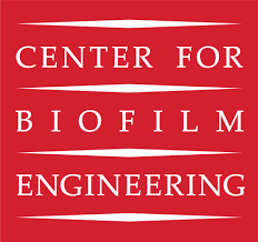 Center for Biofilm Engineering Logo