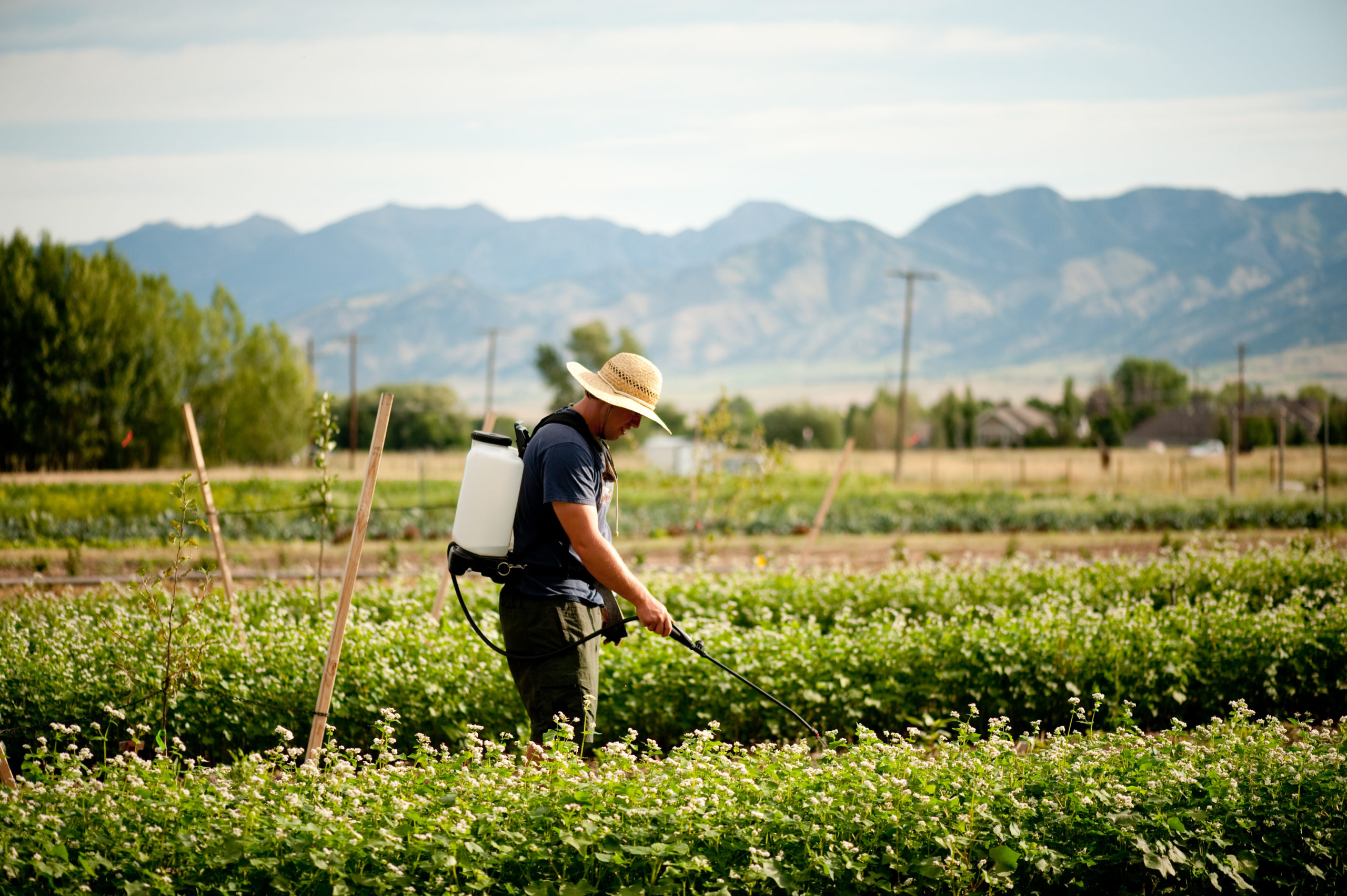 Funding Opportunities - Montana BioScience Alliance